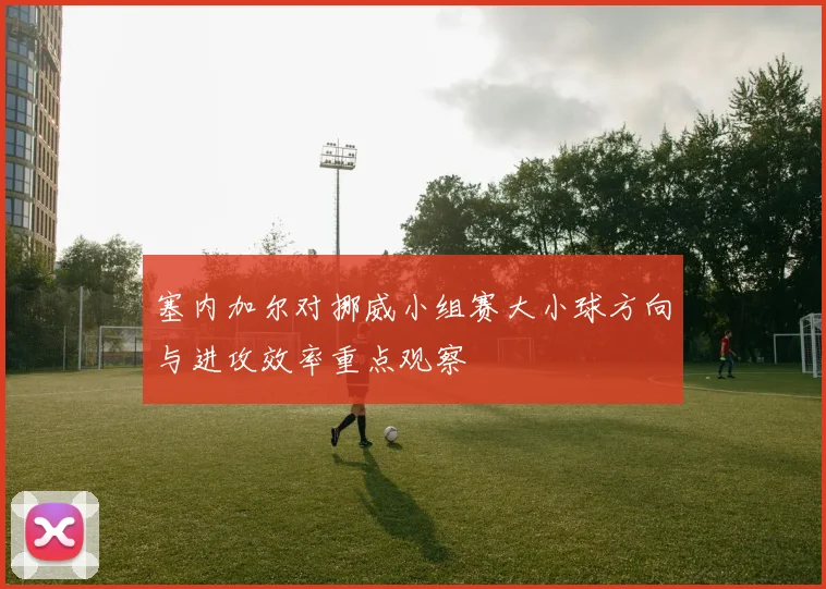 塞内加尔对挪威小组赛大小球方向与进攻效率重点观察